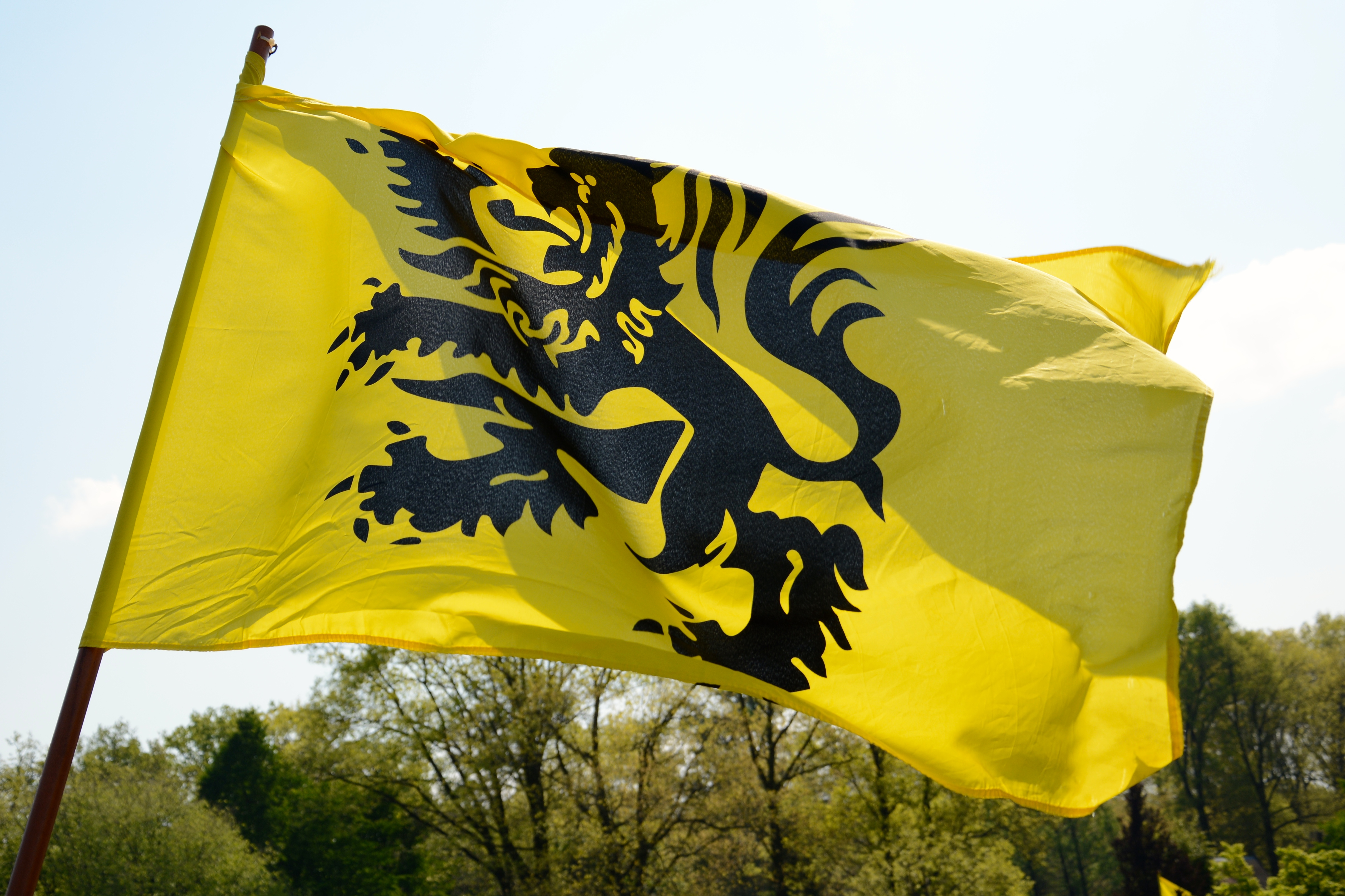 Foto Vlaamse vlag